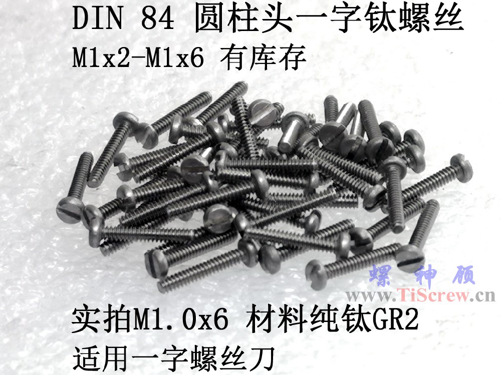 DIN84 圆柱头一字钛螺丝M1x2x2.5x3x4x5x6 ISO1207螺神顾